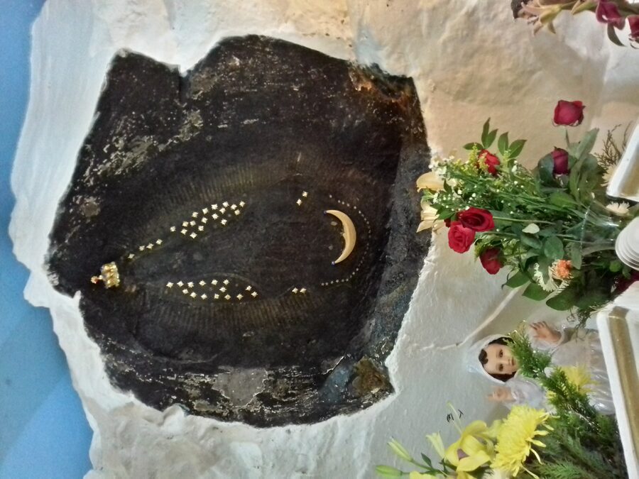 Imagen de Nuestra Señora de Guadalupe de Torrecitas (San Luis Potosí)