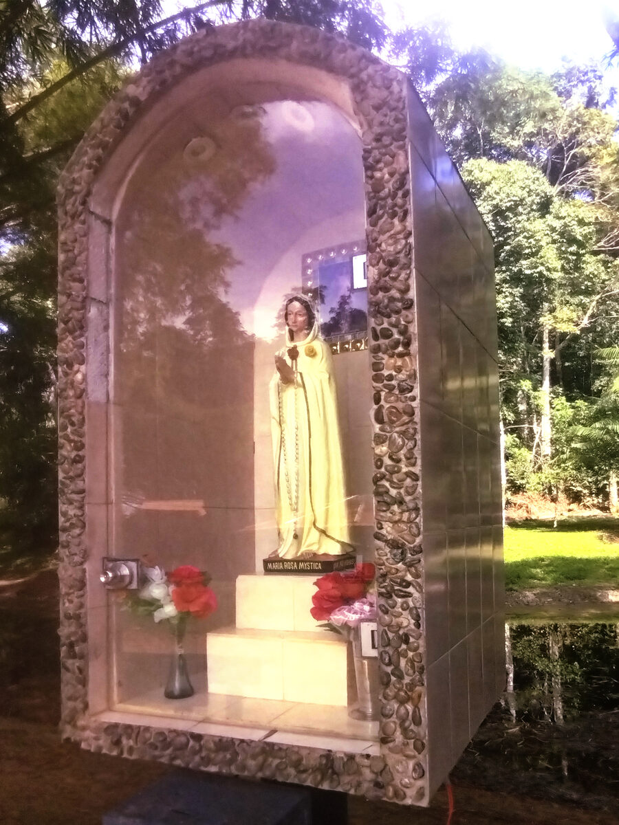 Imagen de la Virgen Rosa Mística de Nauta
