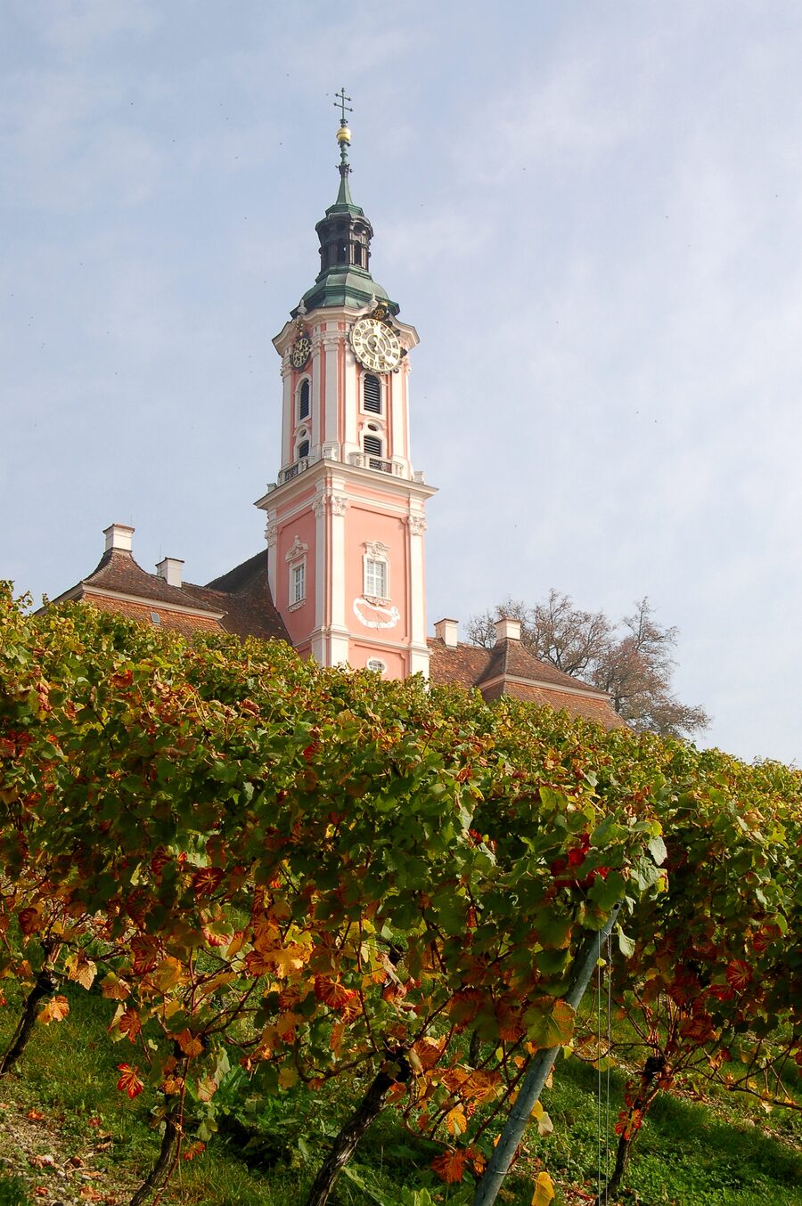 Nuestra Señora de Birnau, venerada en la basílica menor e iglesia de peregrinación barroca de Birnau, a orillas del lago de Constanza