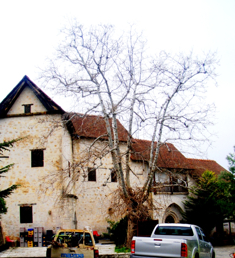 El monasterio de Chrysorrogiatissa